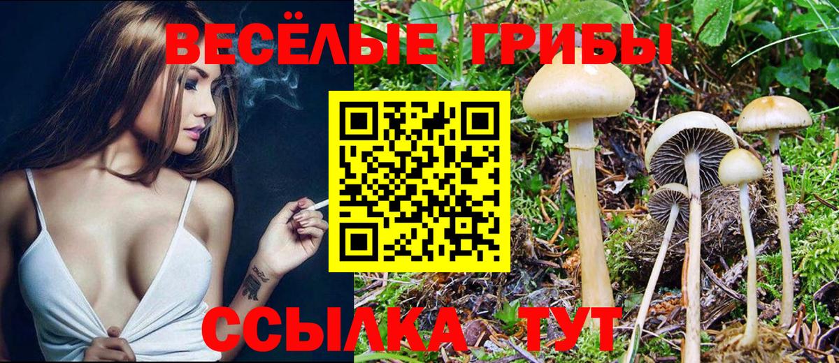 Галлюциногенные грибы мухоморы  Вход с VPN  Бугуруслан 